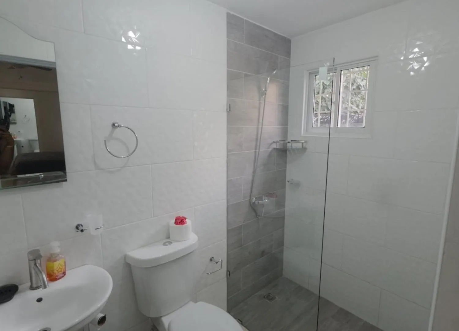 Prázdninový dům Vila Casa Ambar Puerto Plata